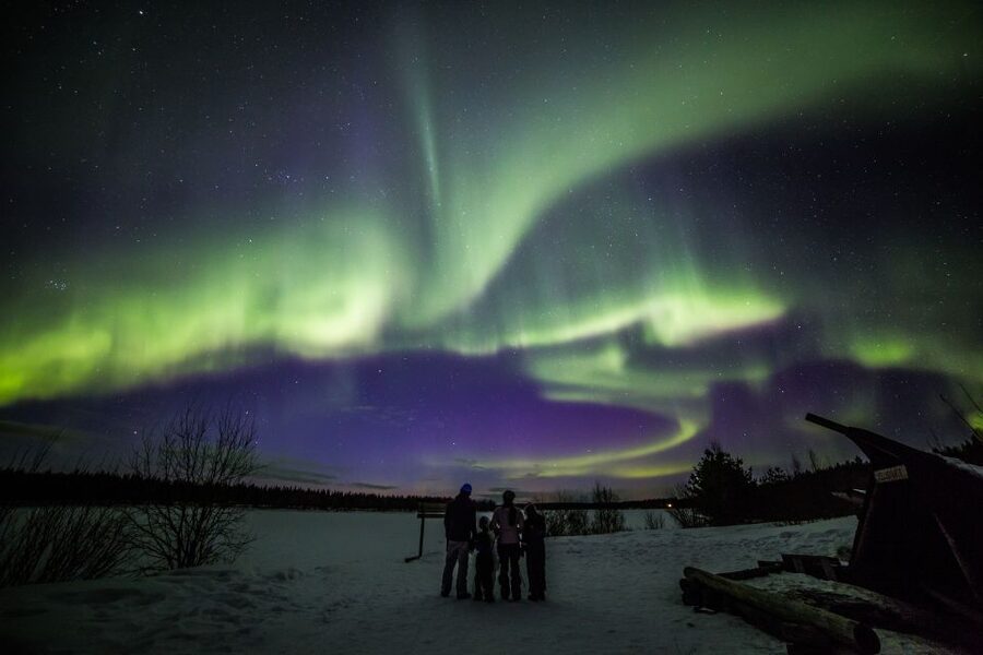 Rovaniemi: Northern Lights Sledge Ride - Key points at a glance