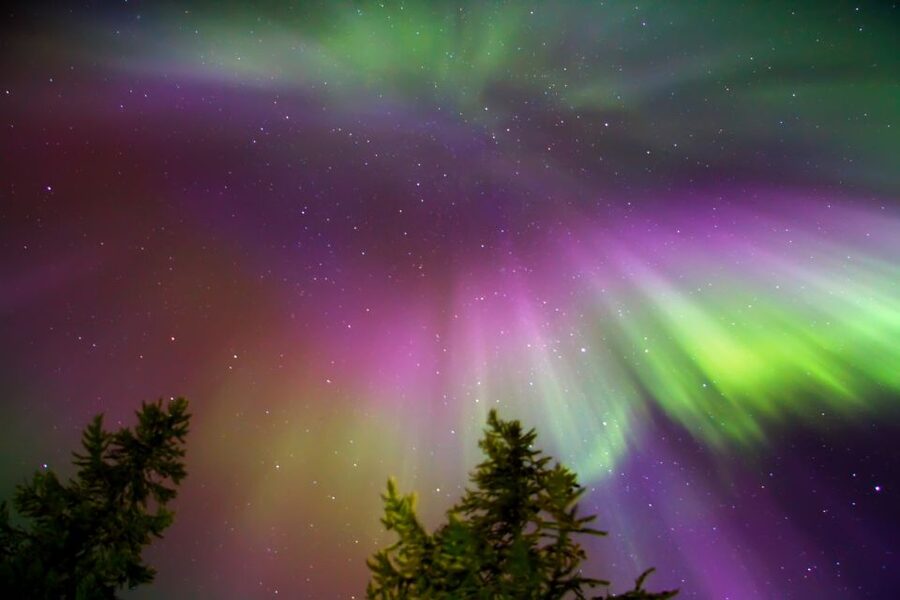 Rovaniemi: Northern Lights Sledge Ride - How the Northern Lights search works
