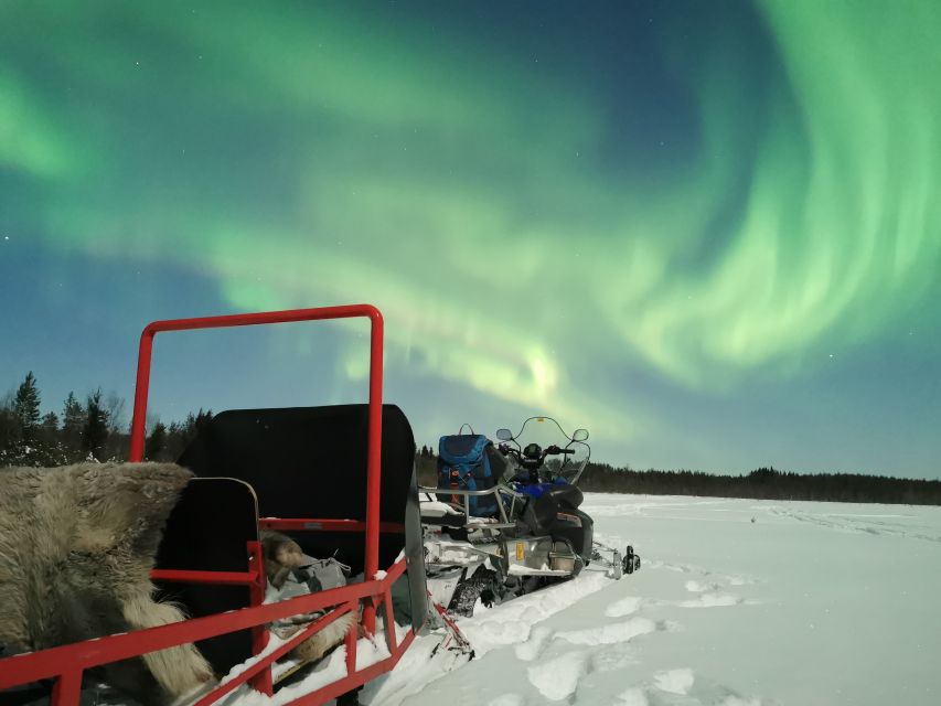 Rovaniemi: Northern Lights Sledge Ride - Comfort, group size, and the cold
