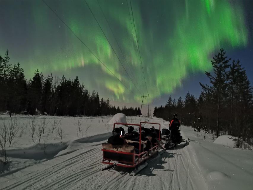 Rovaniemi: Northern Lights Sledge Ride - Who will enjoy this Arctic evening