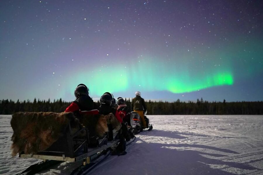 Rovaniemi: Northern Lights Sleigh Ride - Who will enjoy this sleigh ride most?