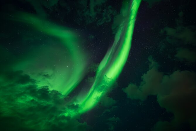 Rovaniemi: Northern Lights Small Group Money-Back Guarantee - How the $156.07 price measures up