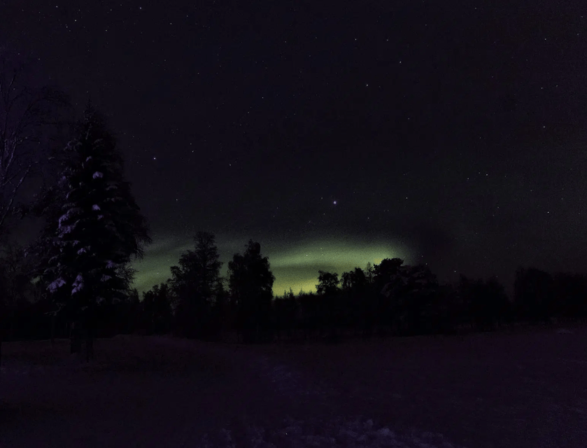 Rovaniemi: Northern Lights Snowmobile Safari with Campfire - Key points to know before booking