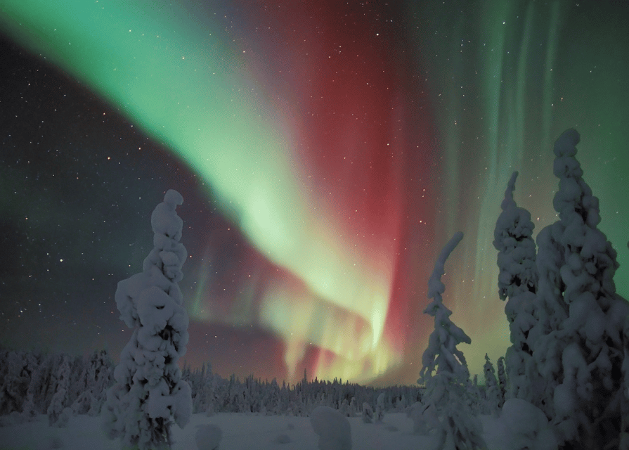 Rovaniemi: Northern Lights Snowmobile Safari with Campfire - Getting dressed for four hours outside