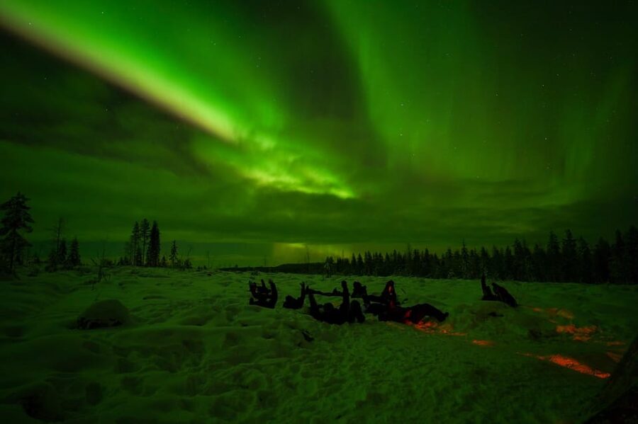Rovaniemi: Northern Lights Tour at the Campfire - Key points to know before booking