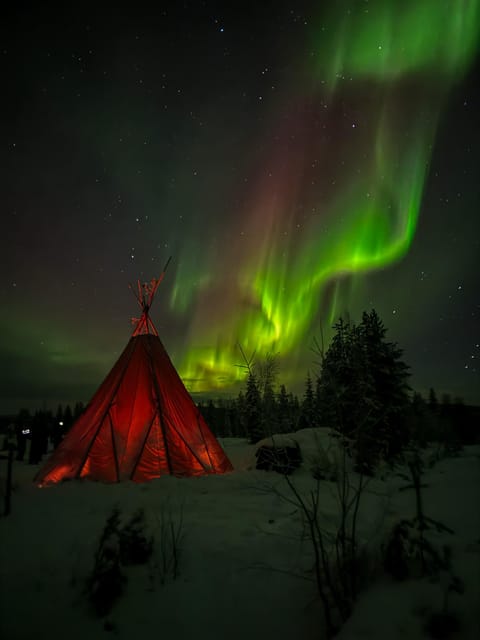 Rovaniemi: Northern Lights Tour at the Campfire - The practical drawback: nature has no restroom