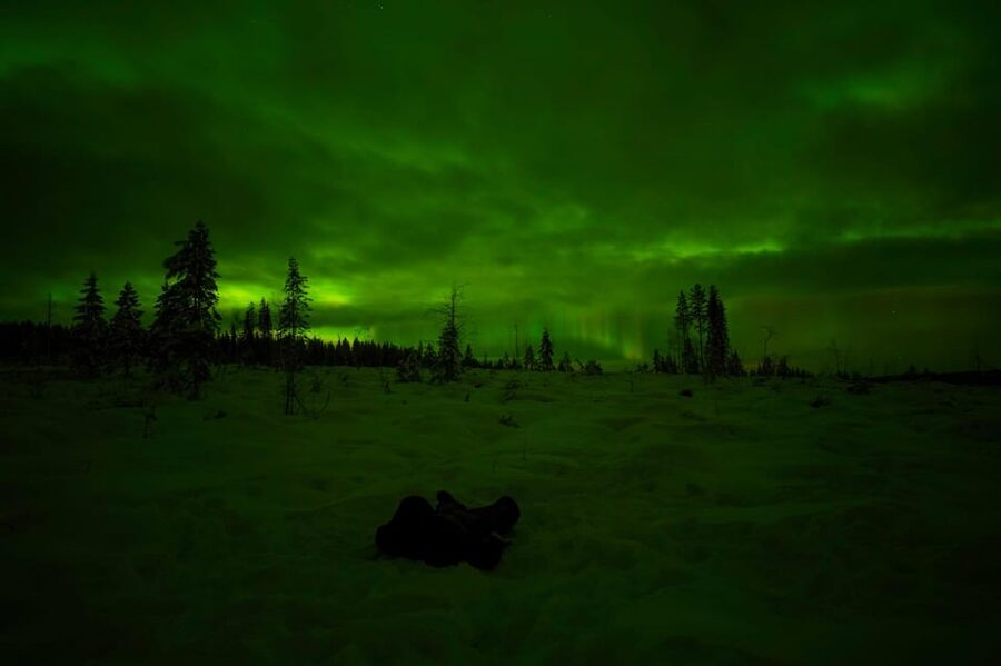 Rovaniemi: Northern Lights Tour at the Campfire - A 100-minute camp beside the fire