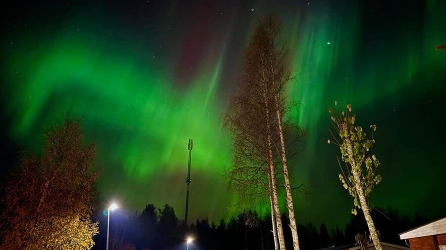 Rovaniemi: Northern Lights Tour with BBQ - Should you book it?