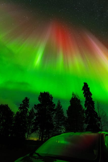 Rovaniemi: Northern Lights Tour with Guarantee - Why this is a genuine aurora chase