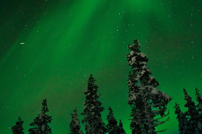 Rovaniemi: Northern Lights Tour - What happens at the dark-sky stops