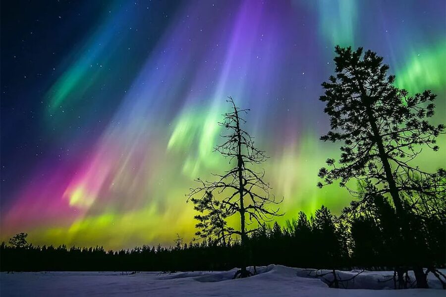 Rovaniemi: Northern Lights Trip with Arctic Sauna & Jacuzzi - Waiting for Northern Lights without a wasted evening