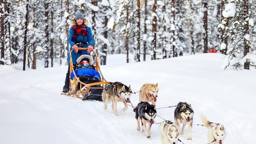 Rovaniemi: One Hour Husky Experience - The 500 to 800 meter sled ride