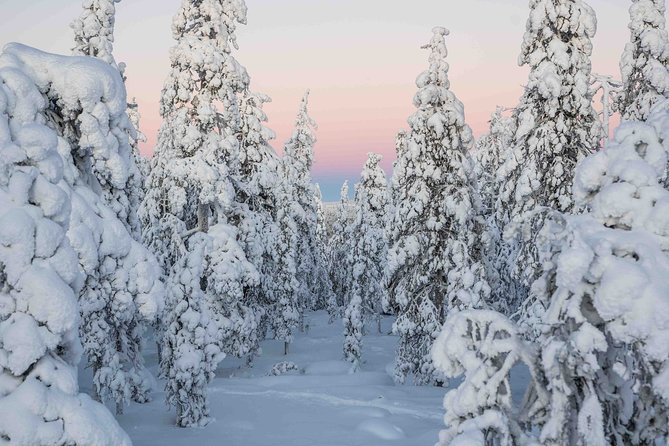 Rovaniemi photography tour - The included photos are useful, but set a modest expectation