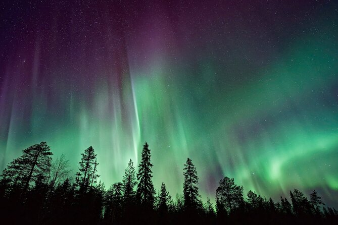 Rovaniemi: Private Aurora Tour with Guaranteed Sightings - Price: strong value for a full group, poor value for a small one