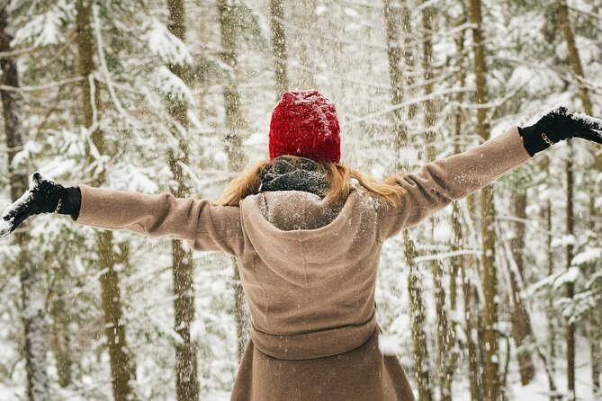 Rovaniemi: Private Winter Wonderland Photoshoot Tour - What the private format changes