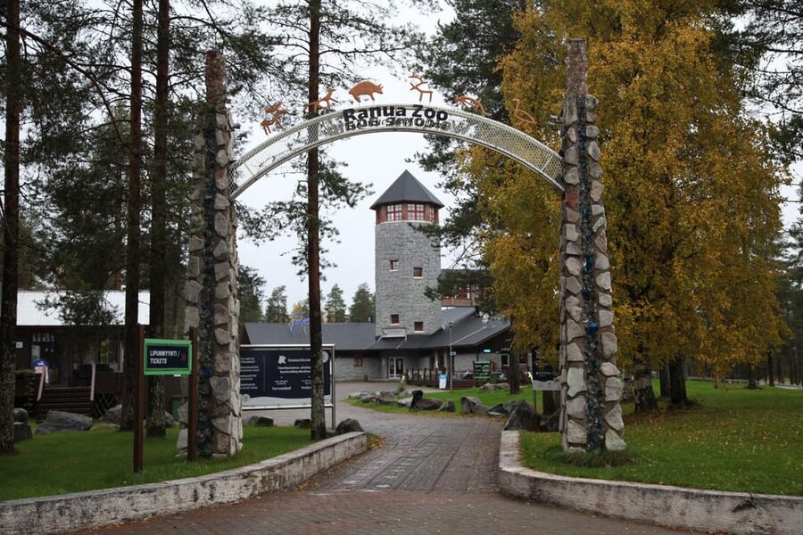 Rovaniemi: Ranua’s Wildlife Park Ticket with Transportation - Key points to know before you go