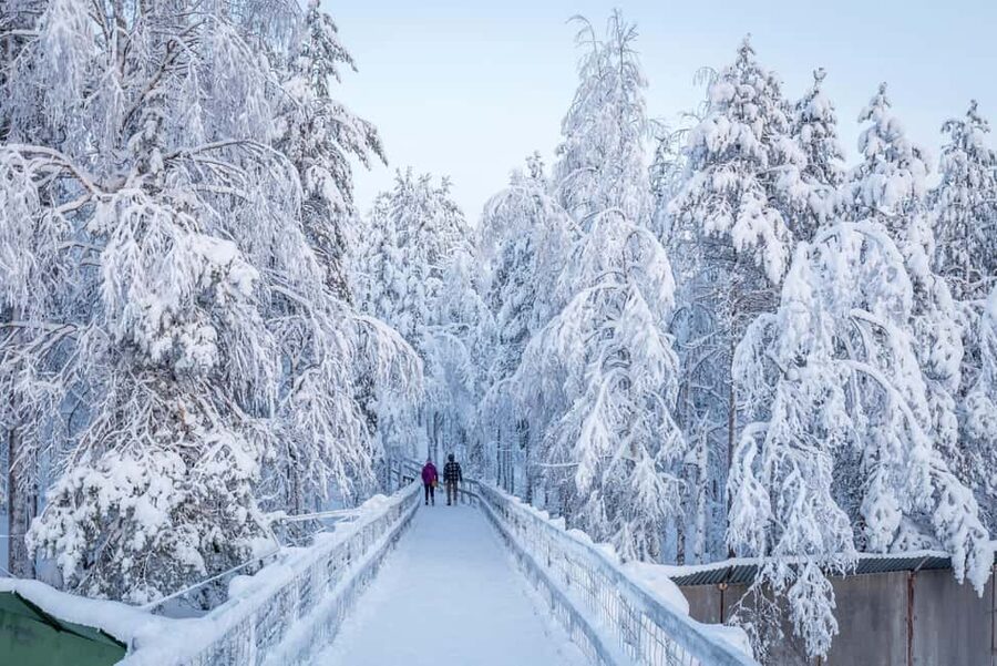 Rovaniemi: Ranua Zoo Wildlife Park Tour with hotel pickup - How the guided portion works