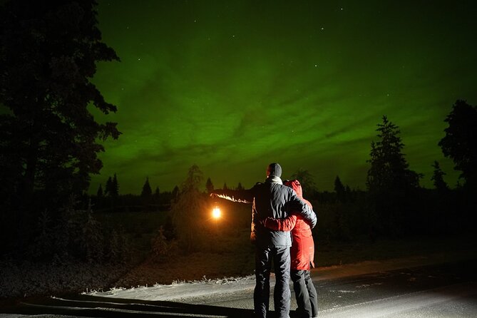Rovaniemi – Real Northern Lights Hunting Experience (Small Group) - What the $142.97 price buys you