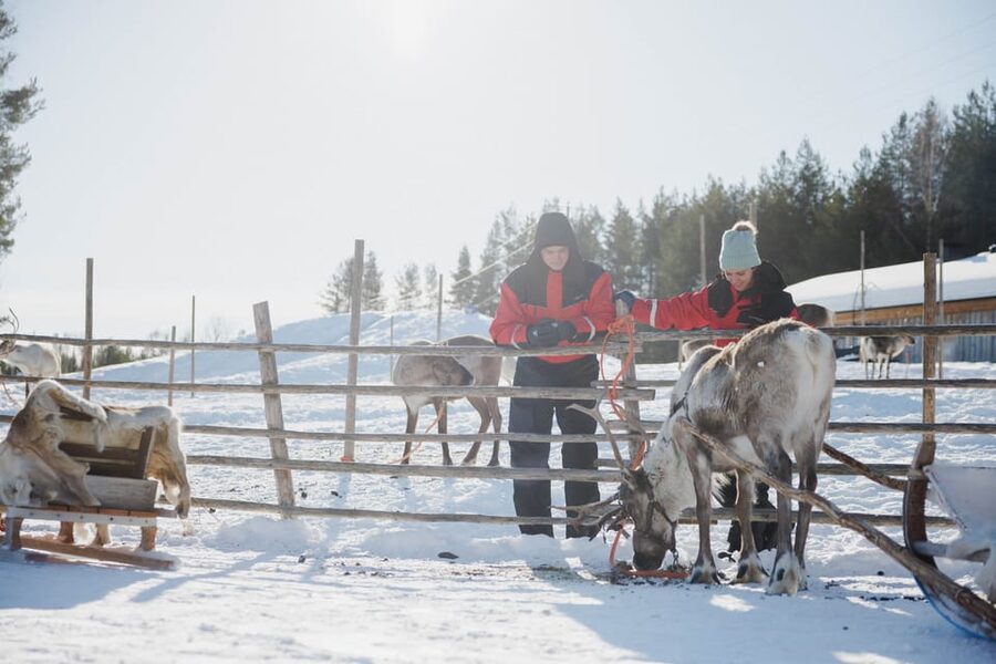 Rovaniemi: Reindeer Experience with Sleigh Ride - The kota, fire, hot juice, and biscuits