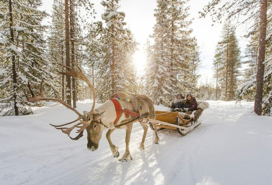 Rovaniemi: Reindeer Farm Visit and Sleigh Ride with transfer - What the two-hour schedule really means