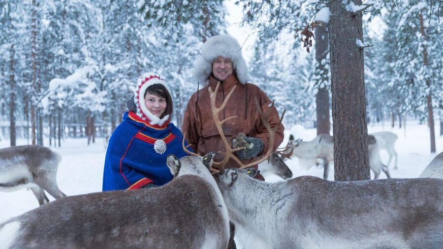 Rovaniemi: Reindeer Farm Visit and Sleigh Ride with transfer - Hotel transfers from Rovaniemi