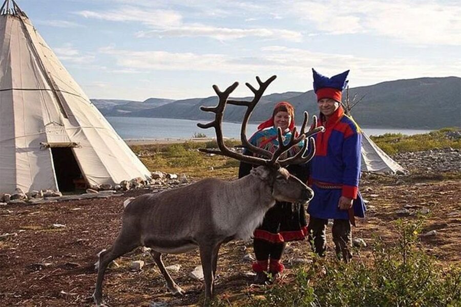 Rovaniemi: Reindeer Farm Visit in the Summer - Why summer changes the experience