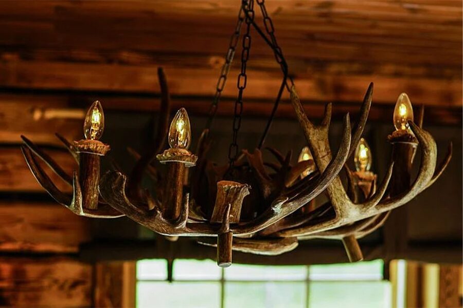 Rovaniemi: Reindeer Farm Visit in the Summer - Group size and the risk of cancellation