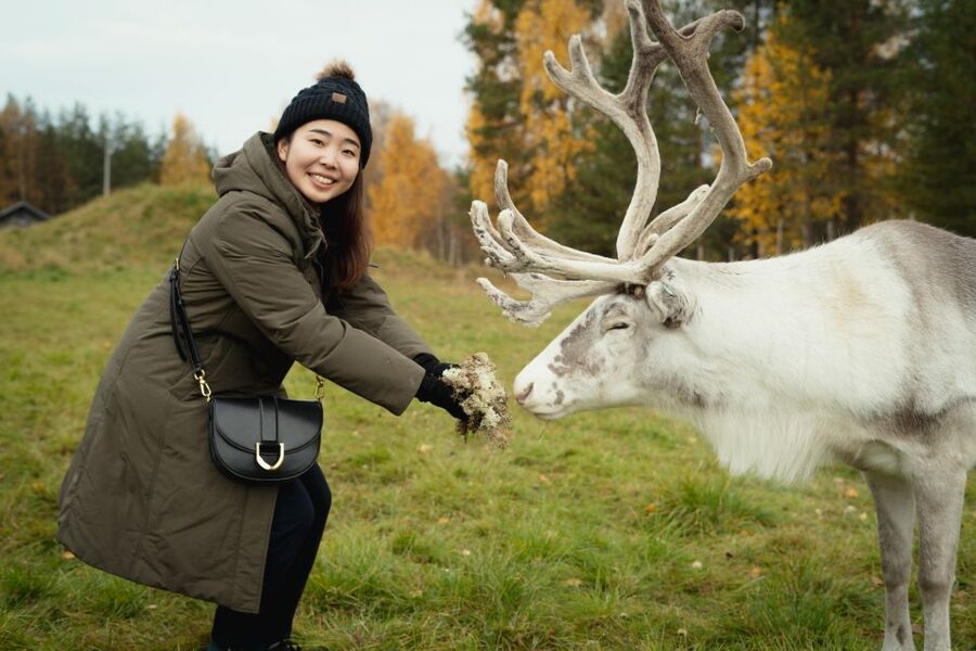 Rovaniemi: Reindeer Farm Visit with Photographer - The 25-minute ride from Rovaniemi