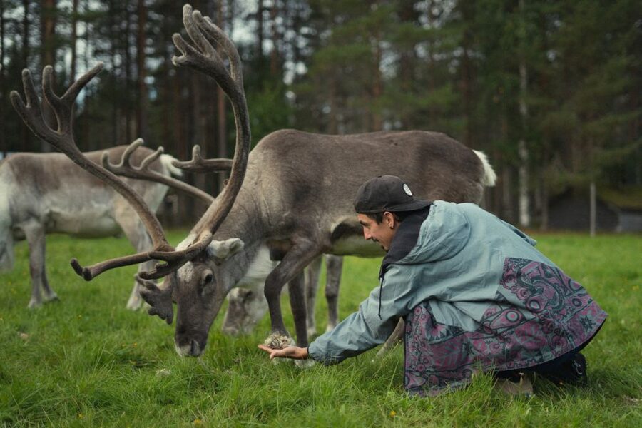 Rovaniemi: Reindeer Farm Visit with Photographer - The fire, hot drinks, and the cold-weather pause