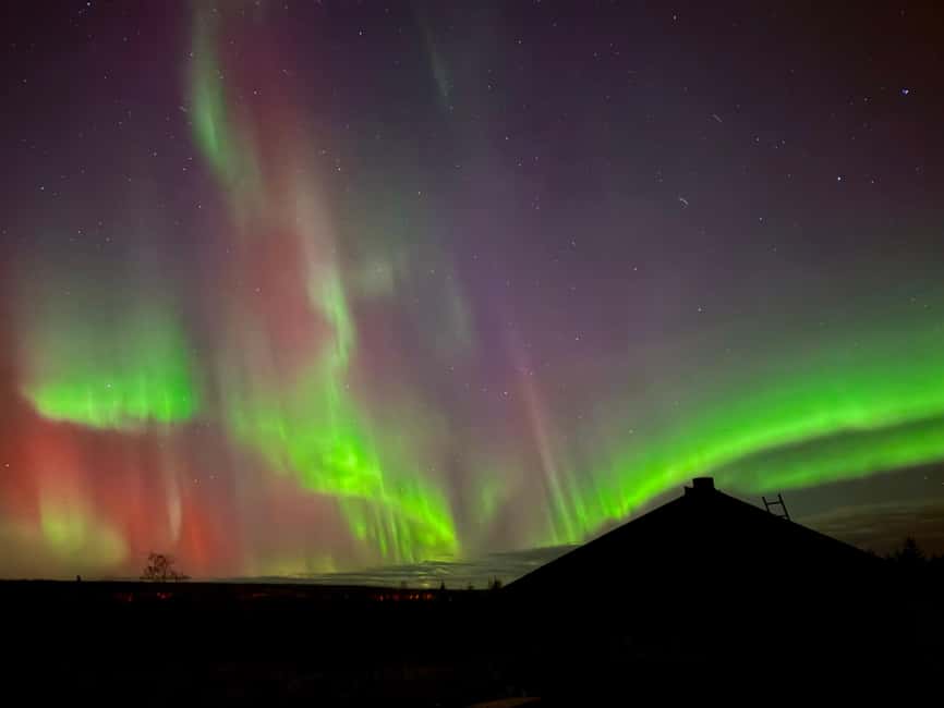 Rovaniemi: Reindeer, Huskies, Santa's Pets & Aurora Hunt - The evening aurora hunt near a frozen lake