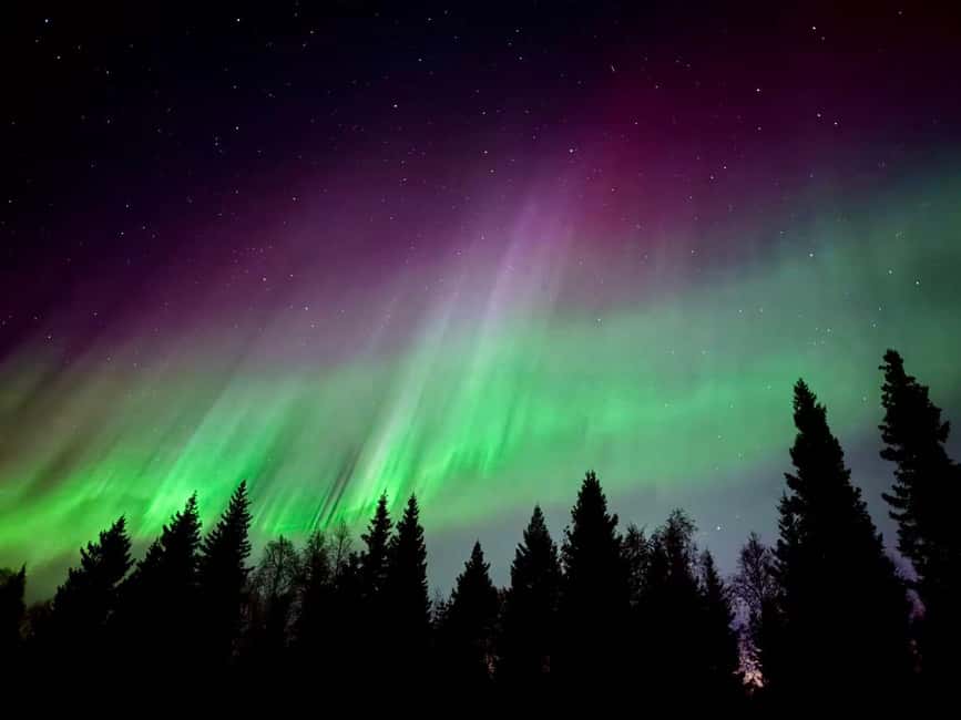 Rovaniemi: Reindeer, Huskies, Santa's Pets & Aurora Hunt - What the guides add to the day