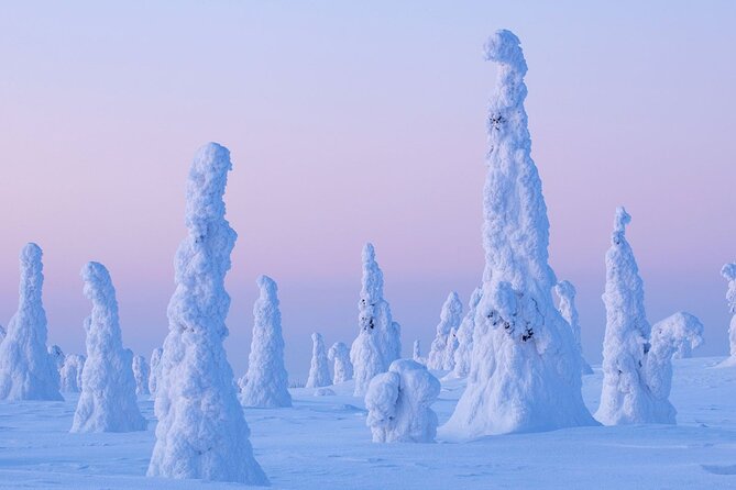 Rovaniemi: Riisitunturi Full-Day Wilderness Adventure & BBQ - Why Riisitunturi is worth the long day