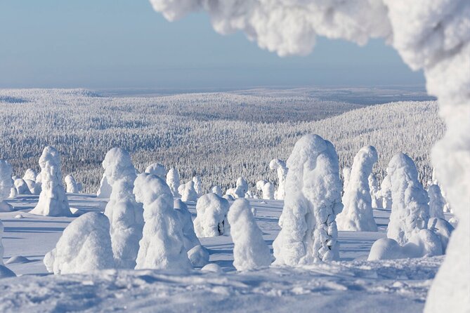 Rovaniemi: Riisitunturi Full-Day Wilderness Adventure & BBQ - Who will enjoy this most