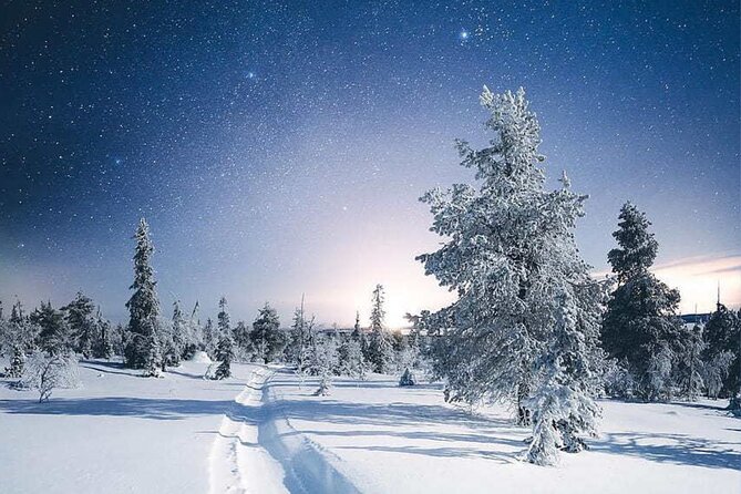 Rovaniemi: Riisitunturi Full-Day Wilderness Adventure & BBQ - The 8:00 a.m. start from Rovaniemi