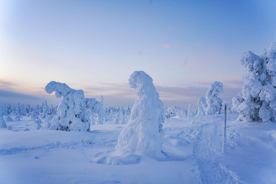 Rovaniemi: Riisitunturi National Park Day Trip with Lunch - Small groups make the hike more personal