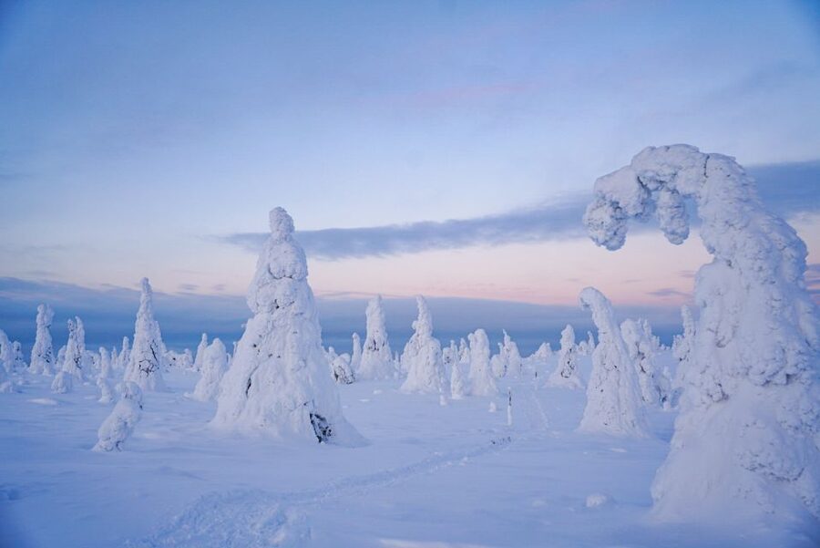 Rovaniemi: Riisitunturi National Park Day Trip with Lunch - Equipment, cold, and what you should wear