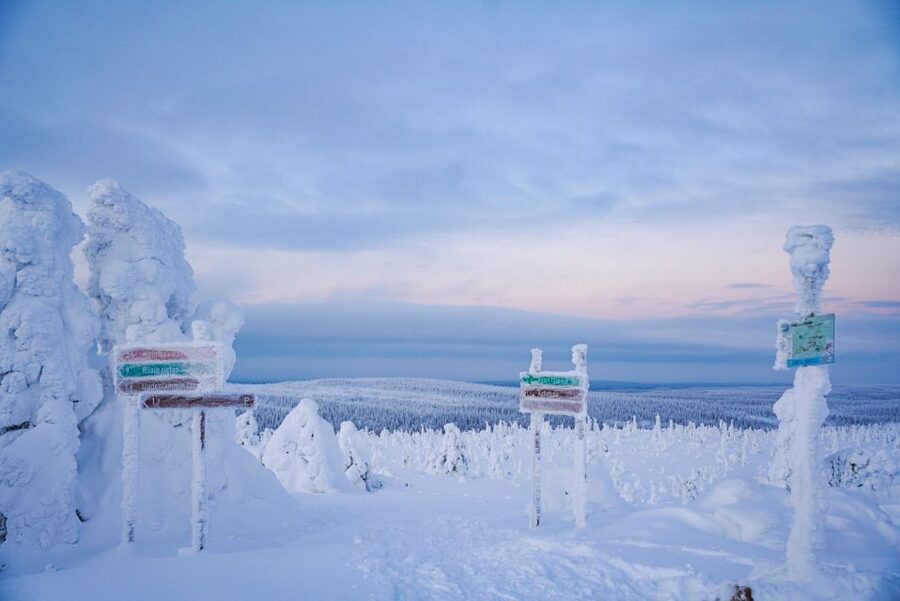 Rovaniemi: Riisitunturi National Park Day Trip with Lunch - Nine hours well spent, or too much road time?