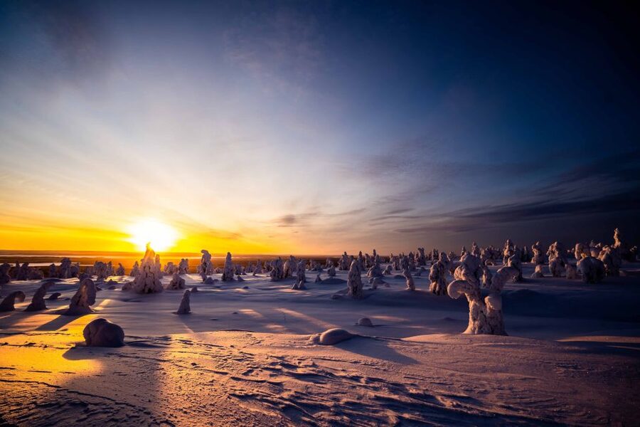 Rovaniemi: Riisitunturi National Park with Pro Photos & BBQ - Who should book this experience?