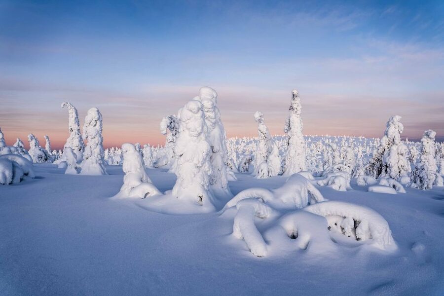 Rovaniemi: Riisitunturi National Park with Pro Photos & BBQ - Why Riisitunturi is worth the long ride