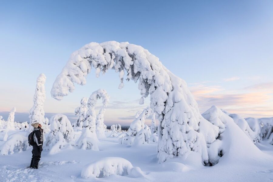 Rovaniemi: Riisitunturi National Park with Pro Photos & BBQ - A simple BBQ in the middle of the park