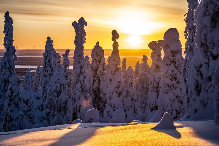 Rovaniemi: Riisitunturi National Park with Pro Photos & BBQ - The two-hour ride from Rovaniemi