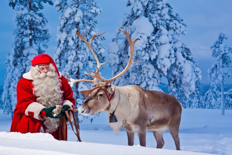 Rovaniemi: Santa Claus Village and Arctic Circle - Is $140 a Fair Price?