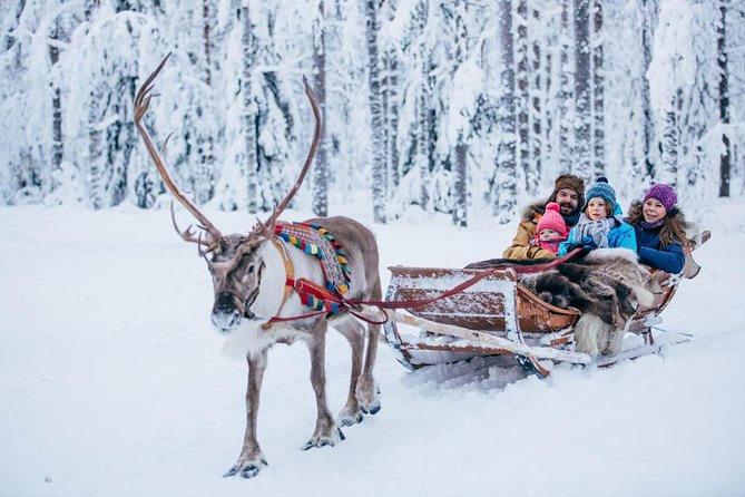 Rovaniemi Santa Claus Village Husky Reindeer Farm Arctic Museum - Santa Claus Village and the Arctic Circle