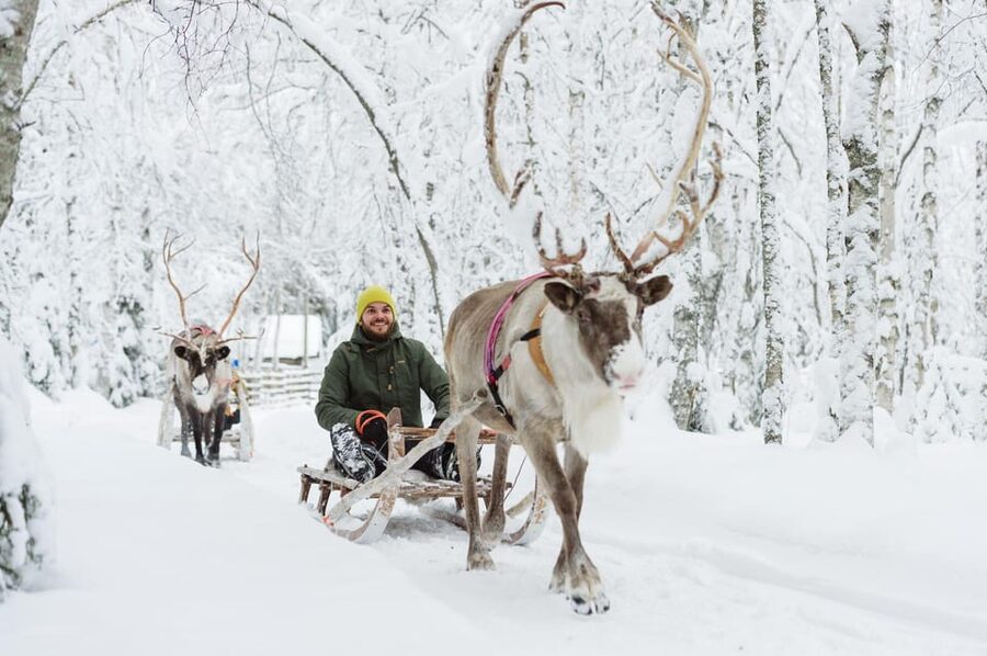 Rovaniemi: Santa Claus Village + Husky & Reindeer Sled Ride - Santa Claus Village and the Arctic Circle