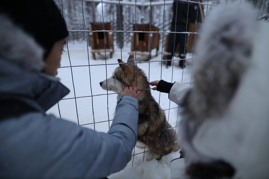 Rovaniemi: Santa Claus Village Tour Huskies & Reindeer ride - Key points to know before booking