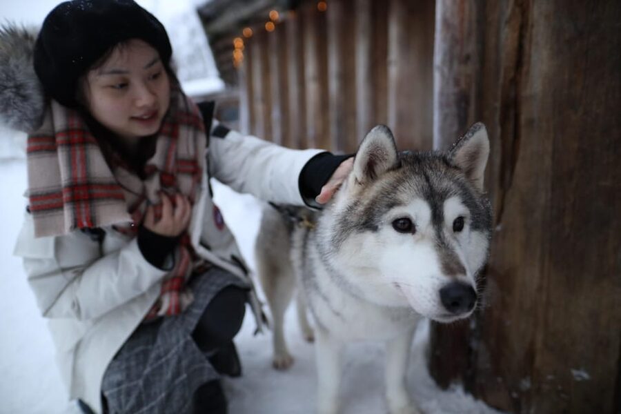 Rovaniemi: Santa Claus Village Tour Huskies & Reindeer ride - Should you book it?