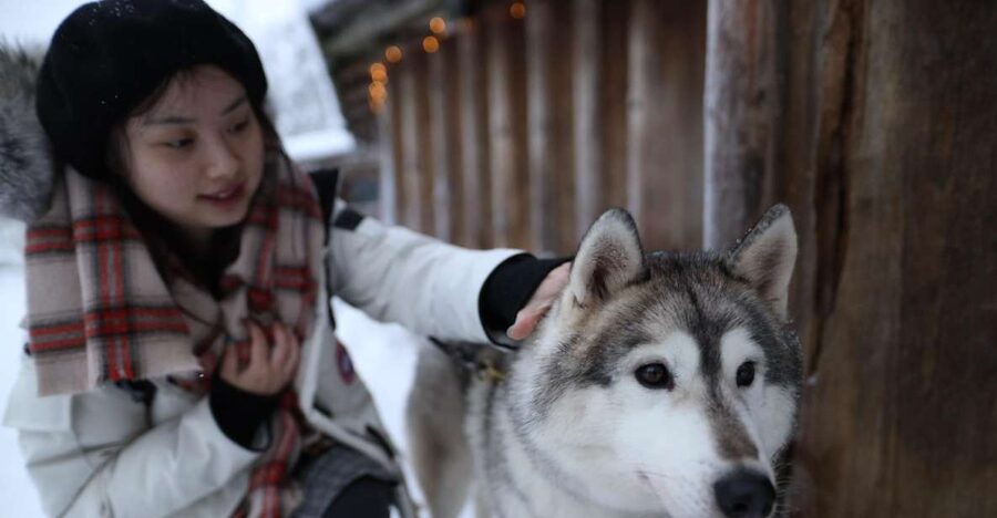 Rovaniemi: Santa Claus Village Tour Huskies & Reindeer Visit - Reindeer, feeding, and Lapland tradition