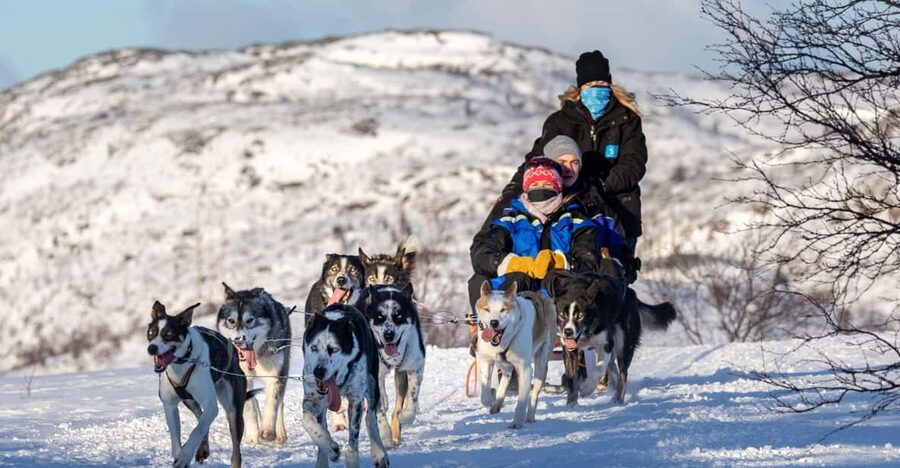 Rovaniemi: Santa's Village, Husky, & Reindeer Sled Ride - Key points to know before booking