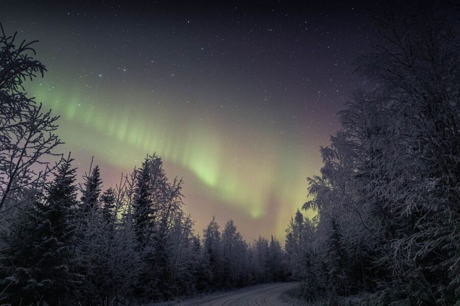 Rovaniemi: Sauna & Ice Swimming Tour with Dinner and Aurora - Is $184 a fair price?