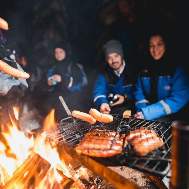 Rovaniemi: Search for Northern Lights Snowmobiling Trip - What happens at Wild Nordic Finland Safari Center
